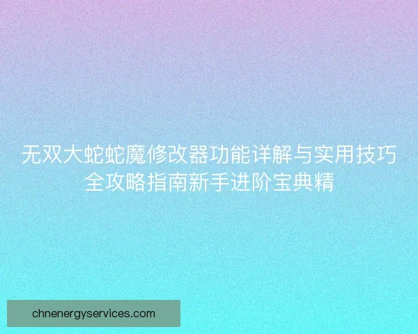无双大蛇蛇魔修改器功能详解与实用技巧全攻略指南新手进阶宝典精
