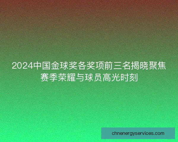 2024中国金球奖各奖项前三名揭晓聚焦赛季荣耀与球员高光时刻