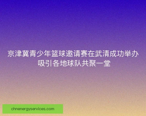 京津冀青少年篮球邀请赛在武清成功举办 吸引各地球队共聚一堂