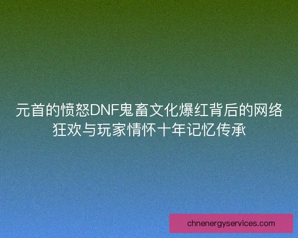 元首的愤怒DNF鬼畜文化爆红背后的网络狂欢与玩家情怀十年记忆传承
