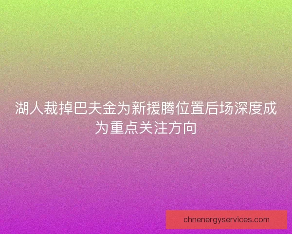 湖人裁掉巴夫金为新援腾位置后场深度成为重点关注方向