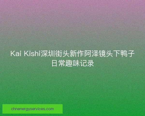 Kai Kishi深圳街头新作阿泽镜头下鸭子日常趣味记录
