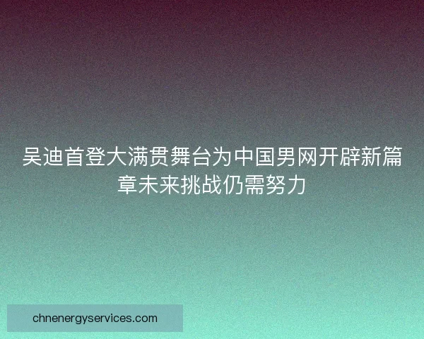 吴迪首登大满贯舞台为中国男网开辟新篇章未来挑战仍需努力