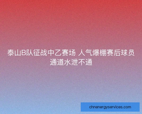 泰山B队征战中乙赛场 人气爆棚赛后球员通道水泄不通