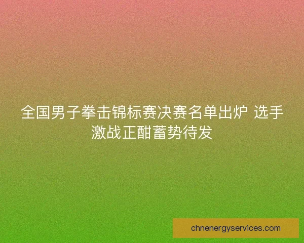 全国男子拳击锦标赛决赛名单出炉 选手激战正酣蓄势待发