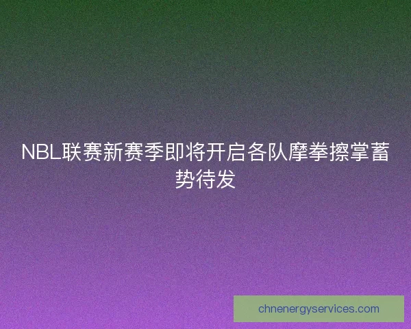 NBL联赛新赛季即将开启各队摩拳擦掌蓄势待发