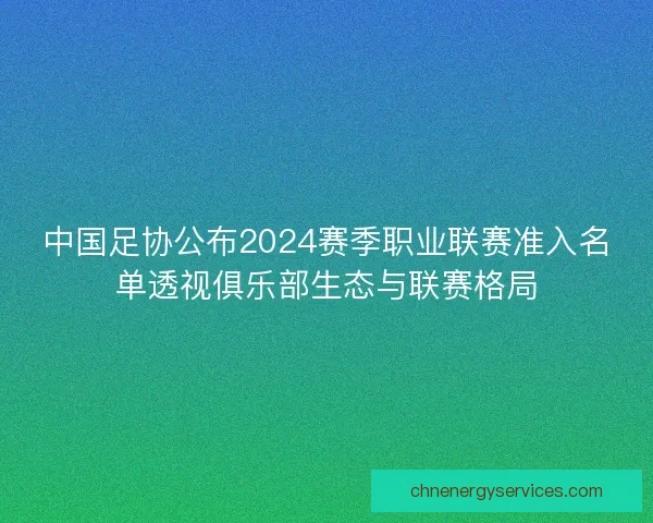 中国足协公布2024赛季职业联赛准入名单透视俱乐部生态与联赛格局